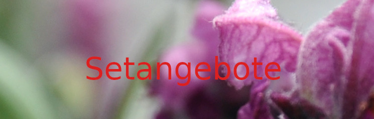 Setangebote Setangebote