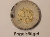 Engelsflügel